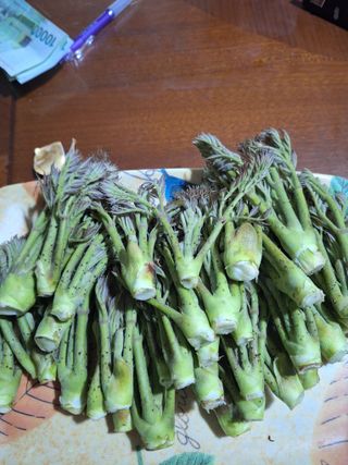 정도영님의 자유주제 · 자유게시판 작성글 사진