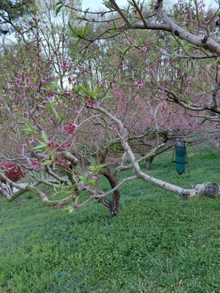 심무재 님의 자유주제 · 자유게시판 작성글 사진