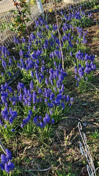 유기농으로키우자님의 자유주제 · 자유게시판 작성글 사진