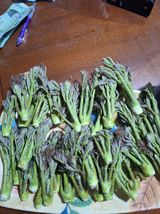 정도영님의 자유주제·자유게시판 작성글 사진