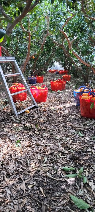 한희철님의 자유주제 · 자유게시판 작성글 사진