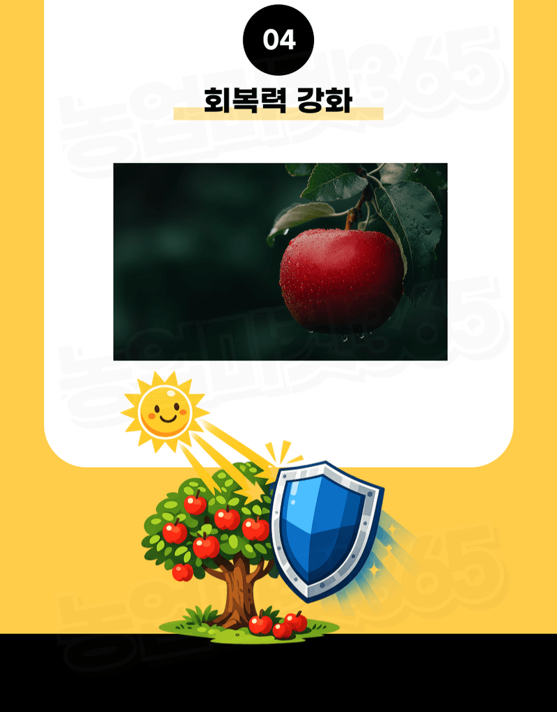 농업마켓365님의 장터 판매 상품 [융전 피틴골드S 액제 1L 피틴산 쌀눈추출물 비대제 당도제 착색제 식물영양제 비료] 첨부 사진