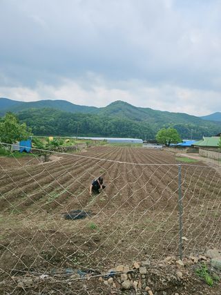조순귀창원성산구사파님의 자유주제 · 자유게시판 작성글 사진