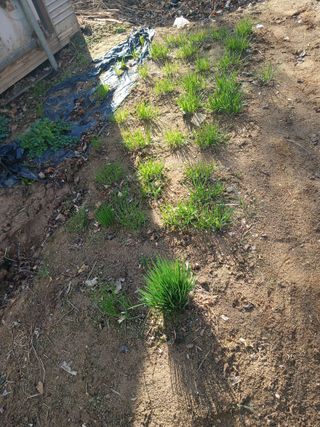 도토리아줌마님의 자유주제·자유게시판 작성글 사진