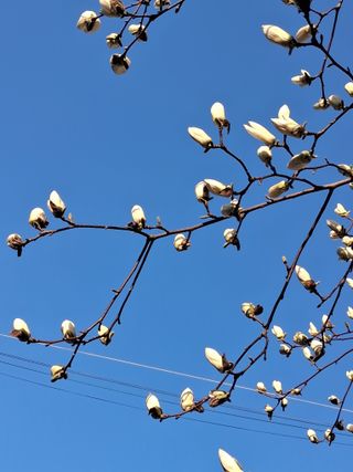 김석순 대암산아랫말님의 자유주제 · 자유게시판 작성글 사진