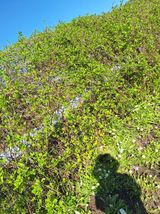 (복조리농장)김찬두님의 자유주제·자유게시판 작성글 사진