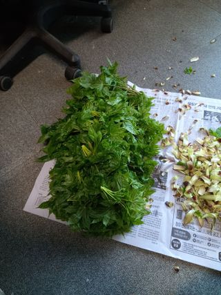 이정식님의 자유주제 · 자유게시판 작성글 사진