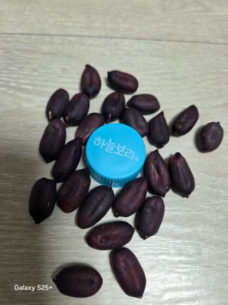 김현정님의 자유주제 · 자유게시판 작성글 사진