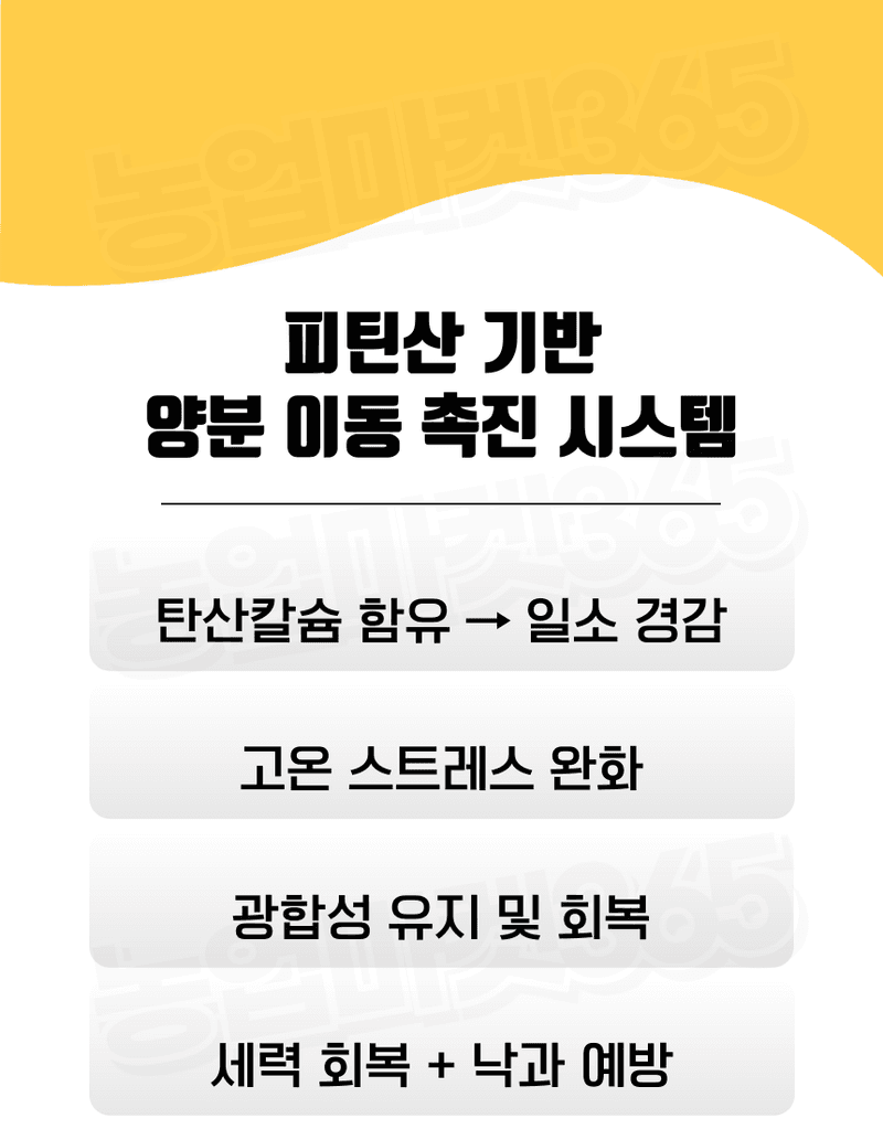농업마켓365님의 장터 판매 상품 [융전 피틴골드S 액제 1L 피틴산 쌀눈추출물 비대제 당도제 착색제 식물영양제 비료] 첨부 사진