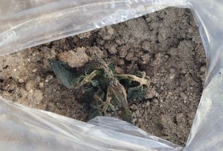 심기섭님의 자유주제 · 자유게시판 작성글 사진