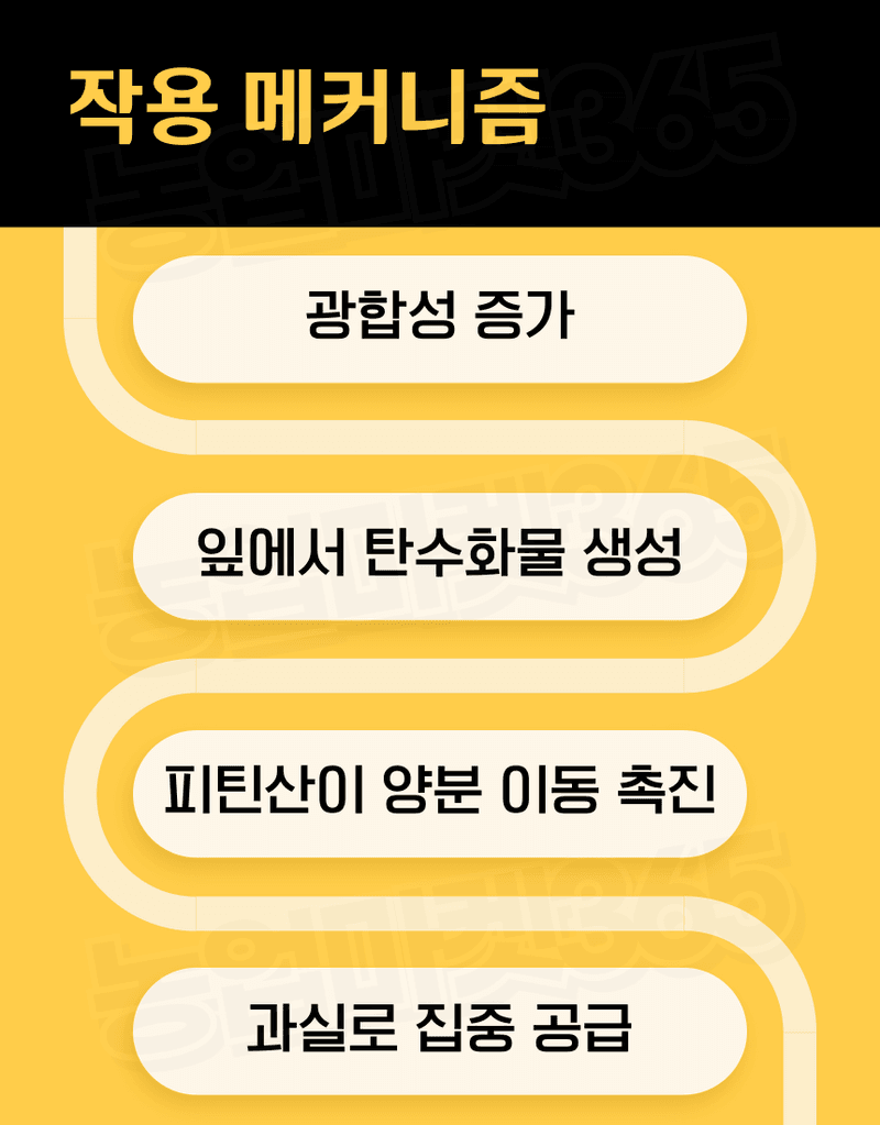 농업마켓365님의 장터 판매 상품 [융전 피틴골드S 액제 1L 피틴산 쌀눈추출물 비대제 당도제 착색제 식물영양제 비료] 첨부 사진