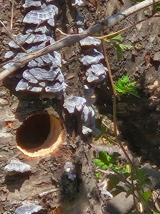 천호산인님의 자유주제 · 자유게시판 작성글 사진