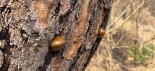 콩13563님의 자유주제 · 자유게시판 작성글 사진