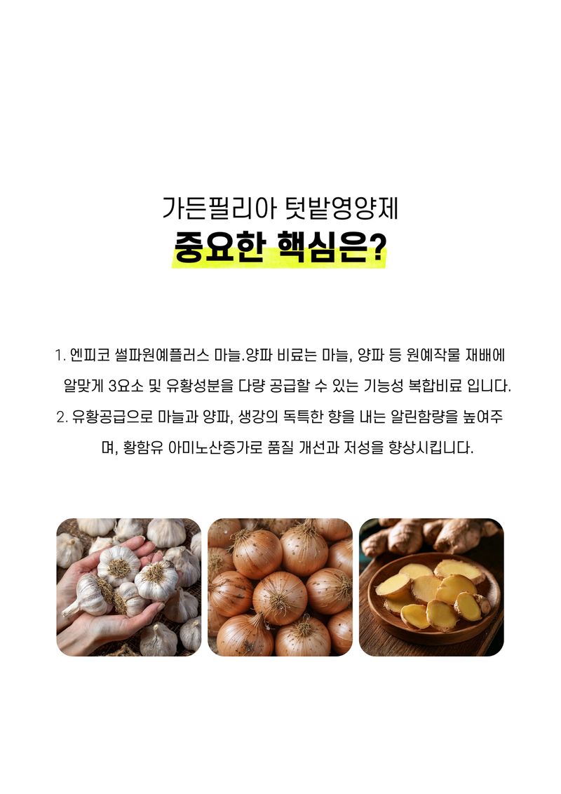 신탄진농약비료마트님의 장터 판매 상품 [[풍농 마늘양파전용비료20kg] 마늘 양파 추비 웃거름 유황함유 크기 향 수확량 증가 복합비료] 첨부 사진