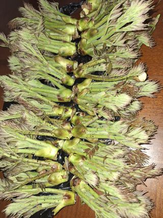 정도영님의 자유주제 · 자유게시판 작성글 사진