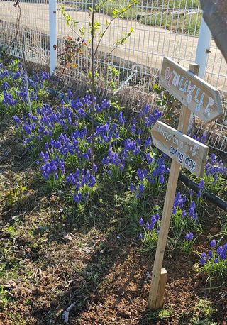 유기농으로키우자님의 자유주제 · 자유게시판 작성글 사진