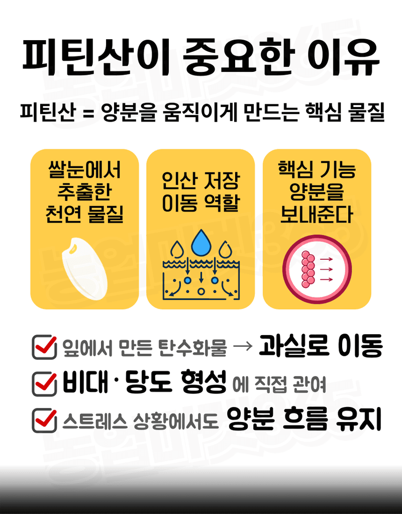 농업마켓365님의 장터 판매 상품 [융전 피틴골드S 액제 1L 피틴산 쌀눈추출물 비대제 당도제 착색제 식물영양제 비료] 첨부 사진
