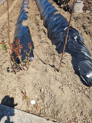 김용대님의 자유주제 · 자유게시판 작성글 사진