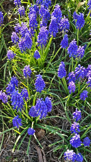 유기농으로키우자님의 자유주제 · 자유게시판 작성글 사진