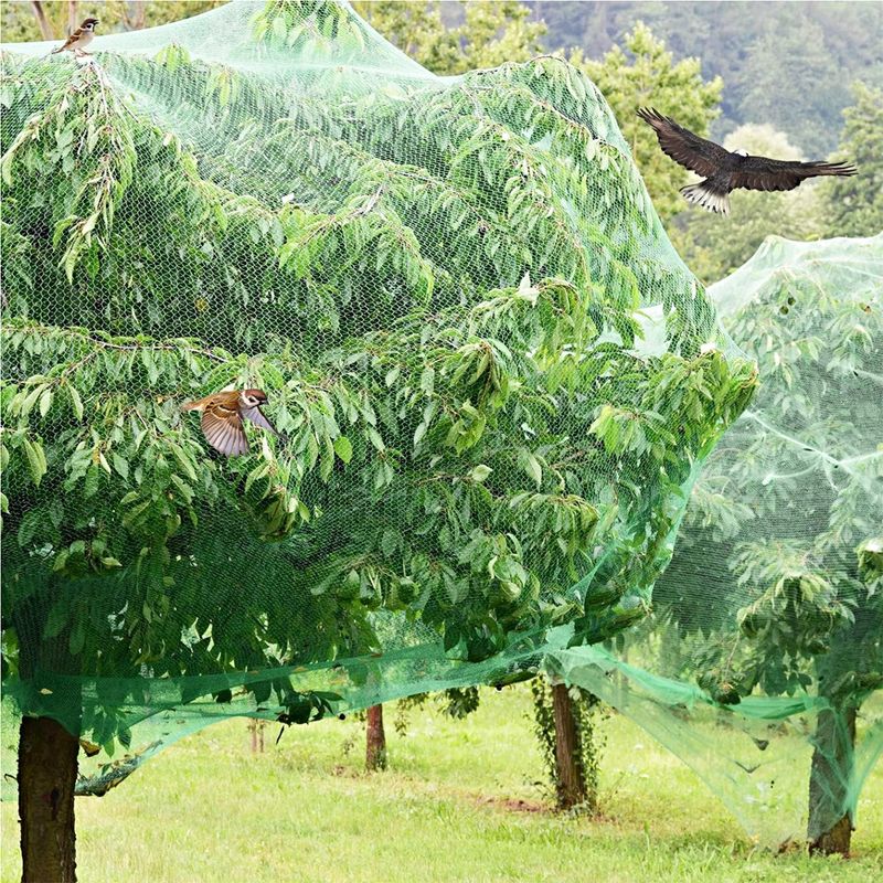 장터 상품 [새 그물 망 방조망 농작물 보호 참새 4x10M(검정색)] 썸네일