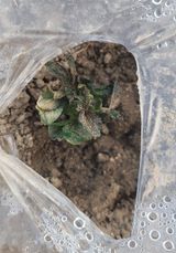 심기섭님의 자유주제·자유게시판 작성글 사진