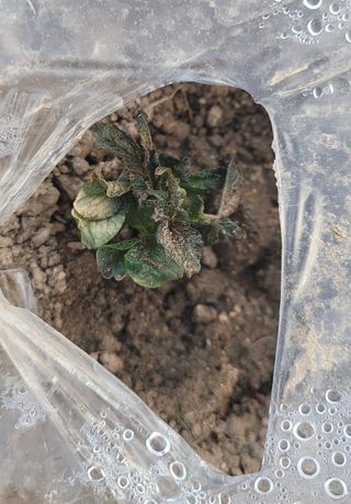 심기섭님의 자유주제 · 자유게시판 작성글 사진