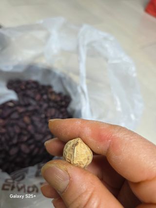 김현정님의 자유주제 · 자유게시판 작성글 사진