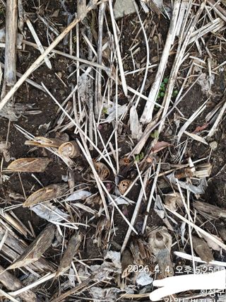 이유영님의 자유주제 · 자유게시판 작성글 사진