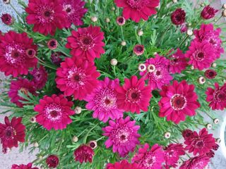 연향님의 자유주제 · 자유게시판 작성글 사진