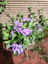 팜모닝 자유주제·자유게시판 게시글 이미지