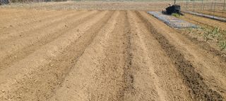 정진해님의 자유주제 · 자유게시판 작성글 사진