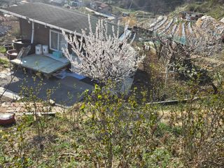 동동이님의 자유주제 · 칭찬해요 작성글 사진