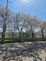 김영진(전남영광)님의 자유주제·자유게시판 작성글 사진