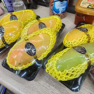 조한솔님의 자유주제 · 자유게시판 작성글 사진