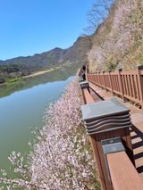 팜모닝 자유주제·자유게시판 게시글 이미지