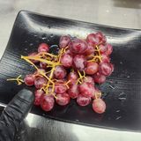 조한솔님의 자유주제·자유게시판 작성글 사진