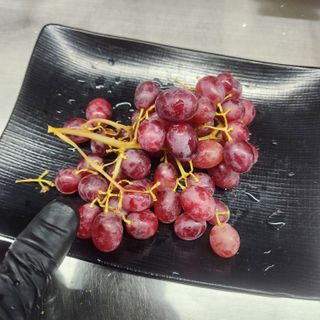 조한솔님의 자유주제 · 자유게시판 작성글 사진