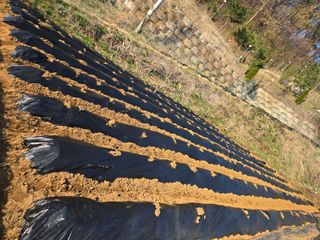 동동이님의 자유주제 · 칭찬해요 작성글 사진