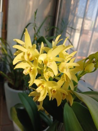 연향님의 자유주제 · 자유게시판 작성글 사진