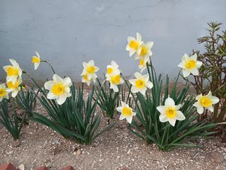 연향님의 자유주제 · 자유게시판 작성글 사진