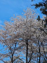 경희아짐님의 자유주제·자유게시판 작성글 사진