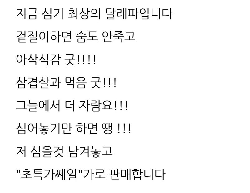 삼성농산님의 장터 판매 상품 [달래파+초특가+쎄일(수량조금남음)] 첨부 사진