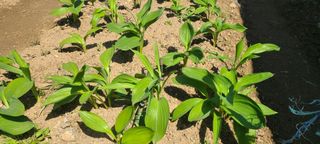 정진해님의 자유주제 · 자유게시판 작성글 사진