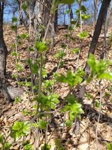 좋은인연원님의 자유주제·자유게시판 작성글 사진