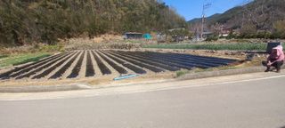 산청아들셋맘박홍점님의 자유주제 · 자유게시판 작성글 사진