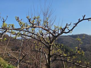 동동이님의 자유주제 · 칭찬해요 작성글 사진