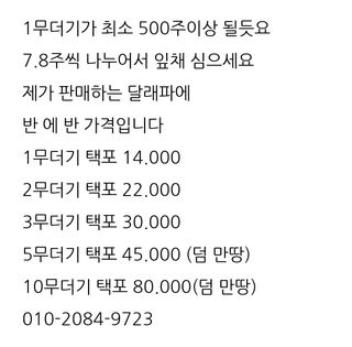 삼성농산님의 파 · 자유게시판 작성글 사진