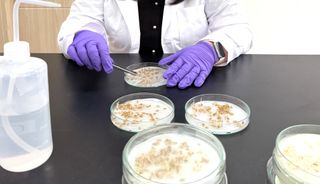 국중선님의 자유주제 · 자유게시판 작성글 사진