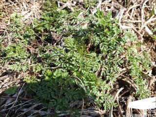 이유영님의 자유주제 · 자유게시판 작성글 사진