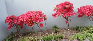 연향님의 자유주제 · 자유게시판 작성글 사진